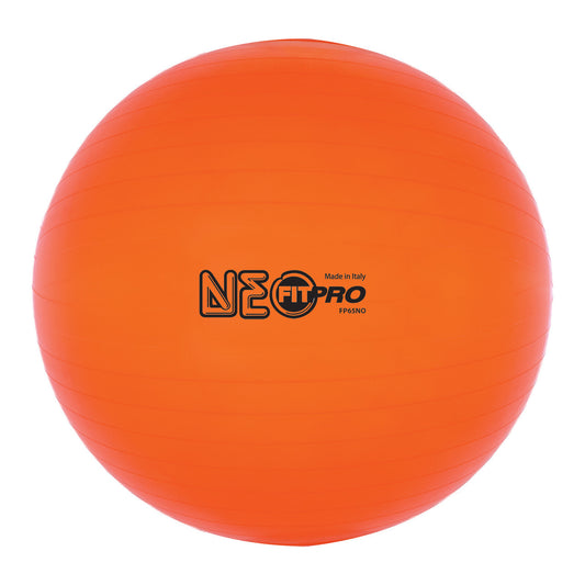 65 cm Fitpro Training & Exercise Ball