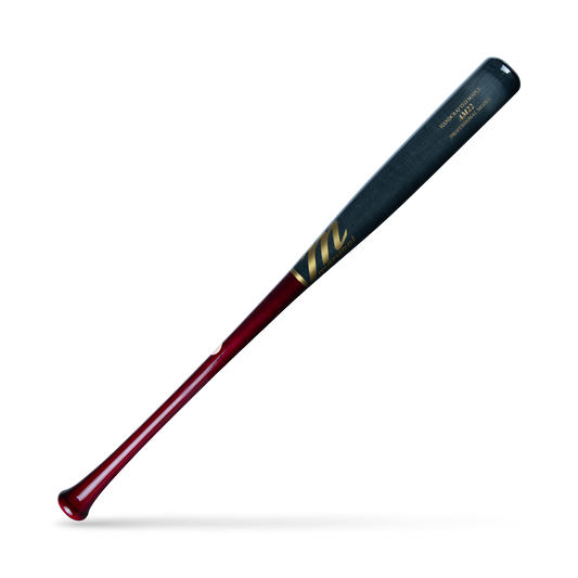 AM22 PRO MODEL