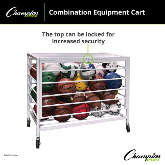 Economy Lockable Ball Locker