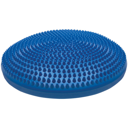 14 Inch Exercise Disc