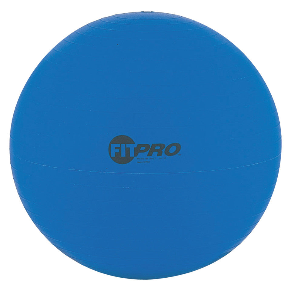 53 cm Fitpro Training & Exercise Ball