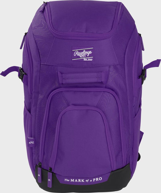 RAWLINGS FRANCHISE 2 PLAYERS BACKPACK