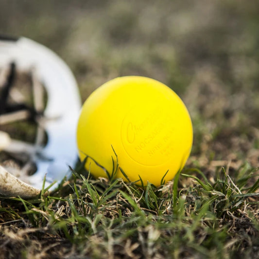 Lacrosse Ball Bucket
