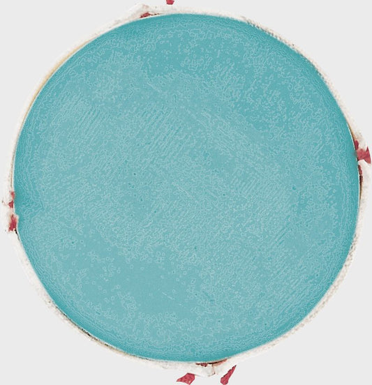 RAWLINGS SAFETY BALLS LEVEL 5- SYNTHETIC COVER - TEAM PACK