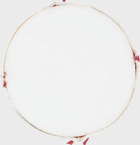 RAWLINGS LEVEL 10 LITTLE LEAGUE STAMPED