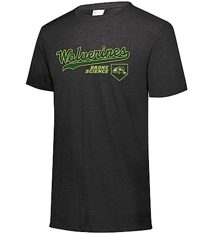 Bronx Science Baseball Team Store