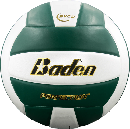 Perfection Leather Volleyball