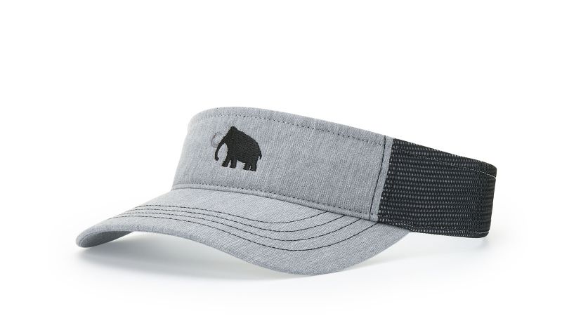 TRUCKER VISOR