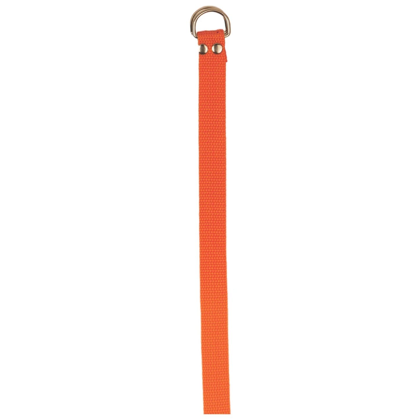 Football Belt
