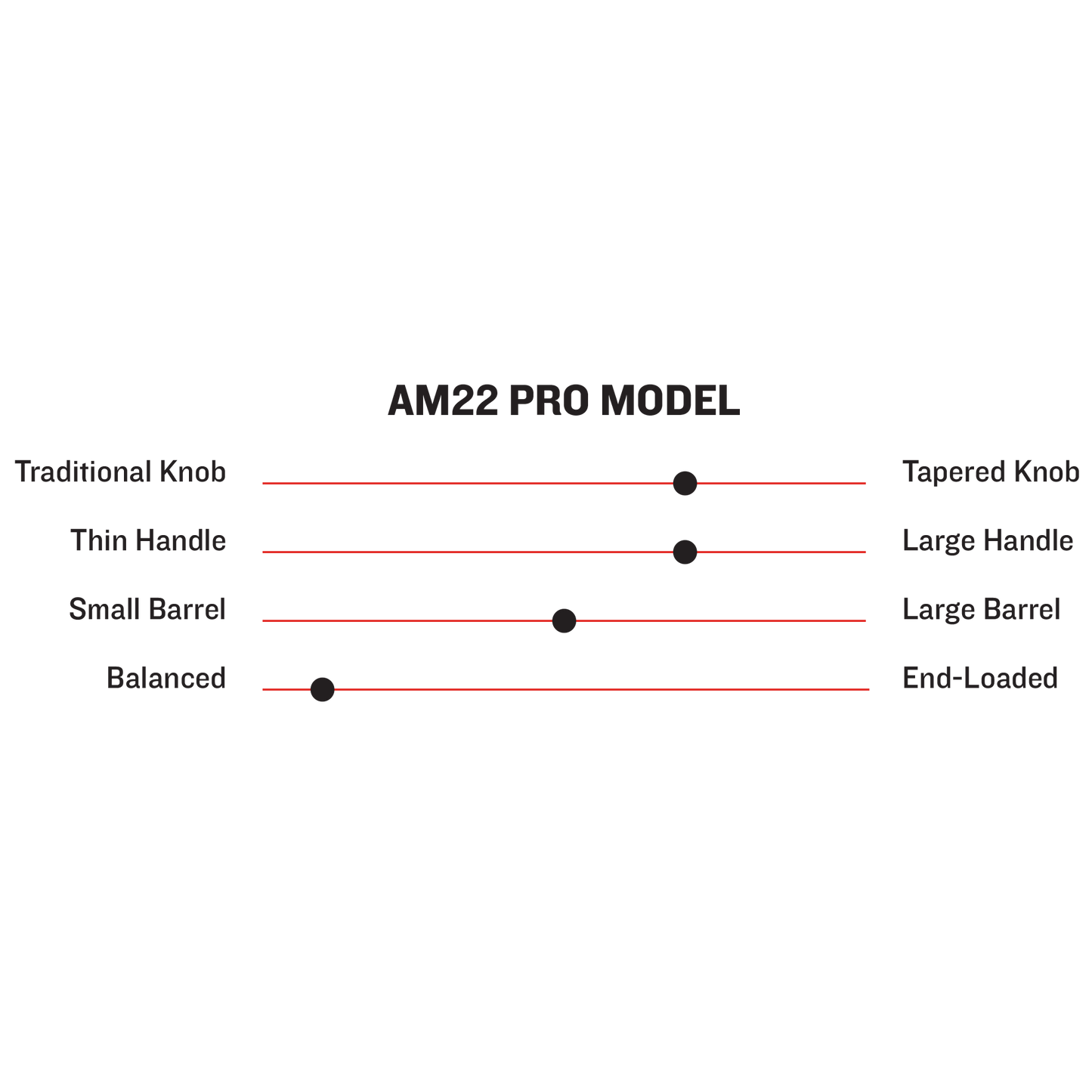 AM22 PRO MODEL