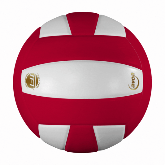 Perfection Leather Volleyball