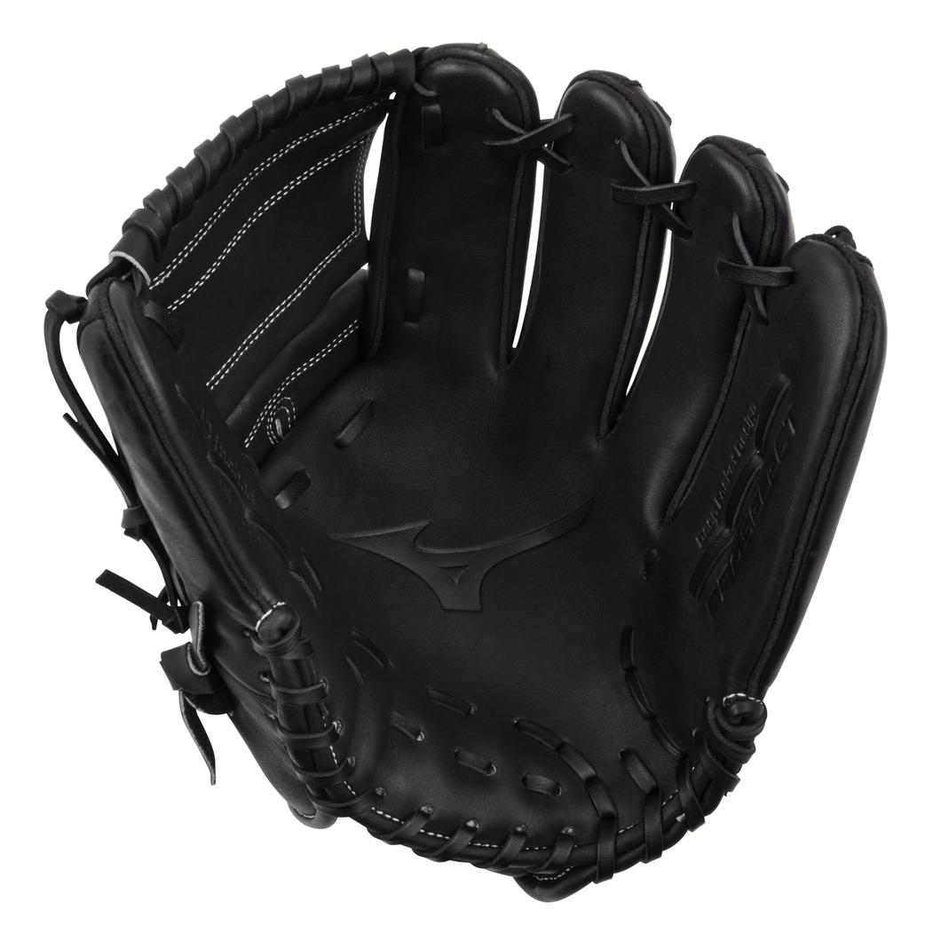 GPS-11D Pro Select 12" Baseball Glove