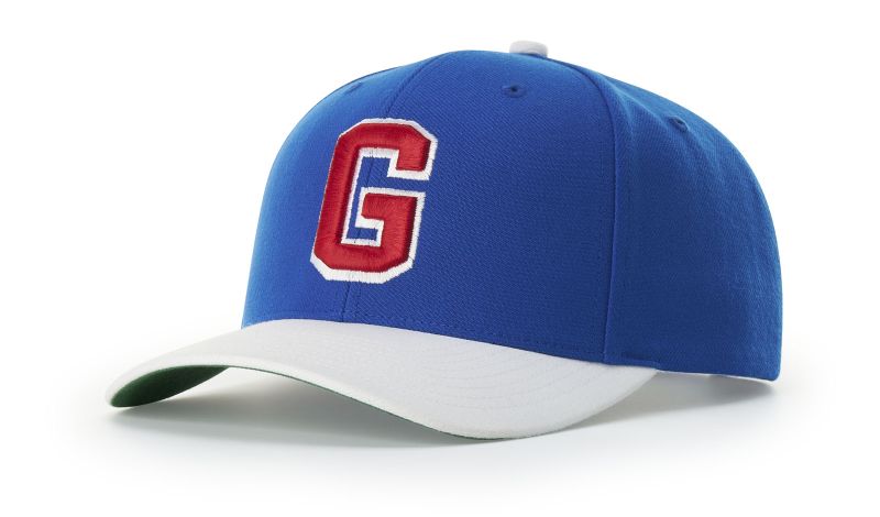 Surge Snapback
