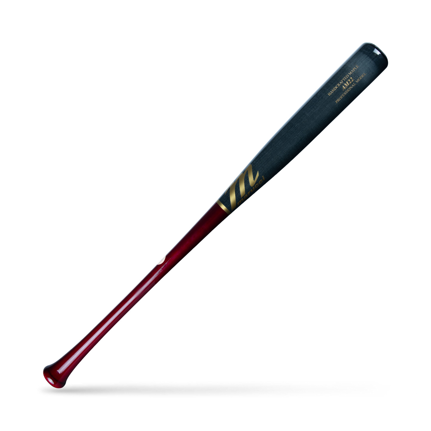 AM22 PRO MODEL