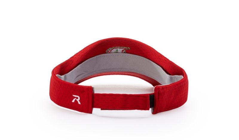 PRO MESH VISOR