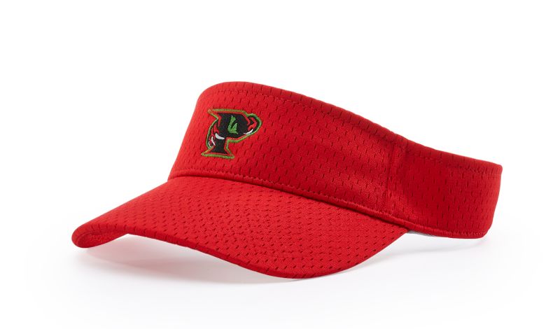 PRO MESH VISOR