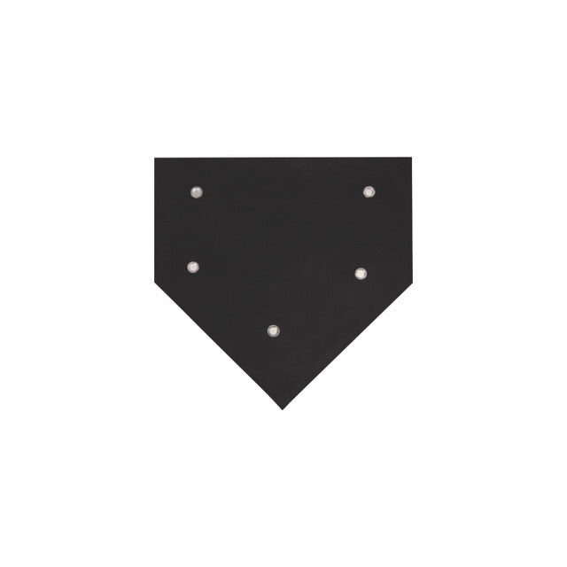 Save-A-Leg Homeplate