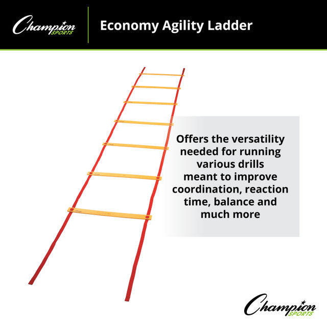 Economy Agility Ladder