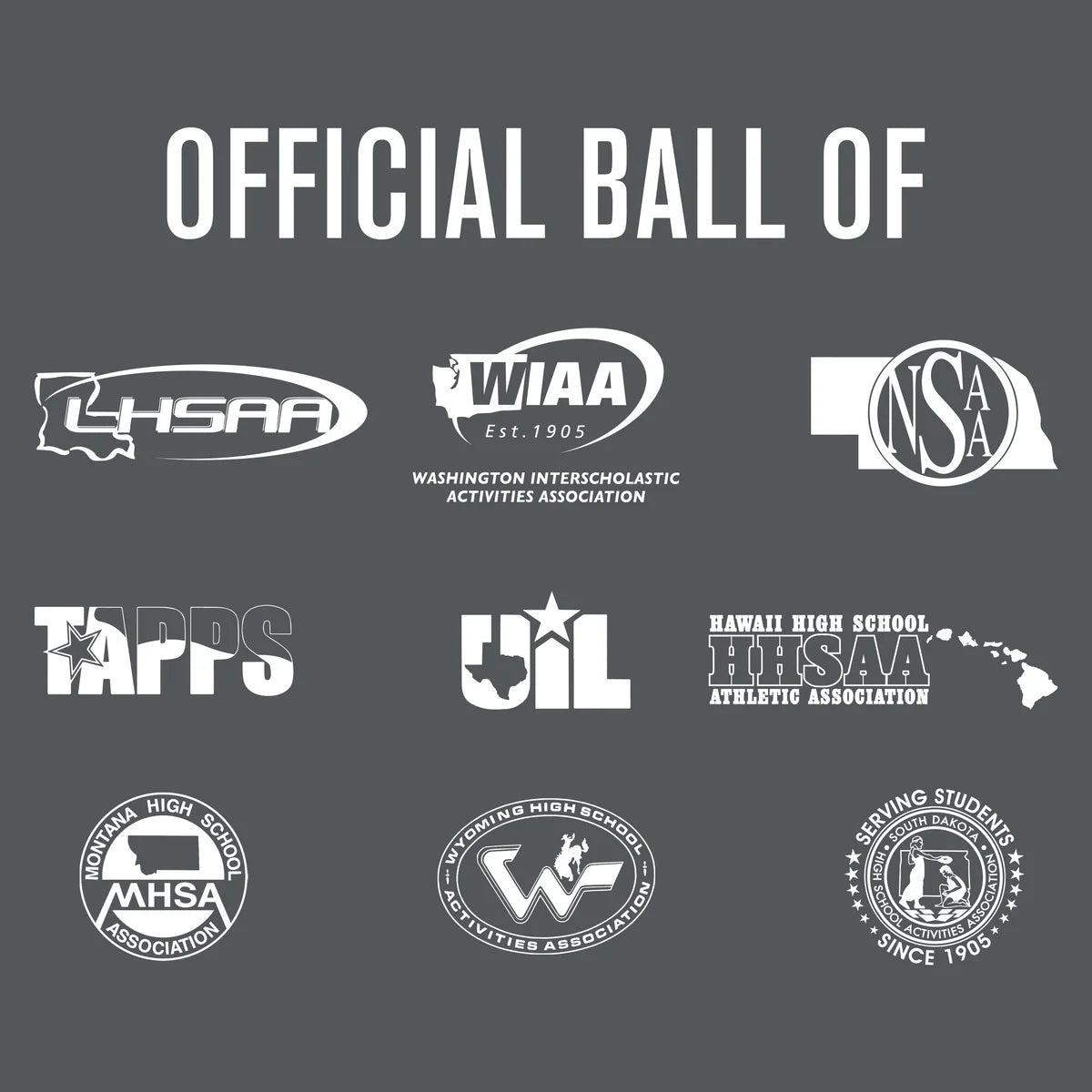 Elite Pro Official Game Basketball NFHS Stamped