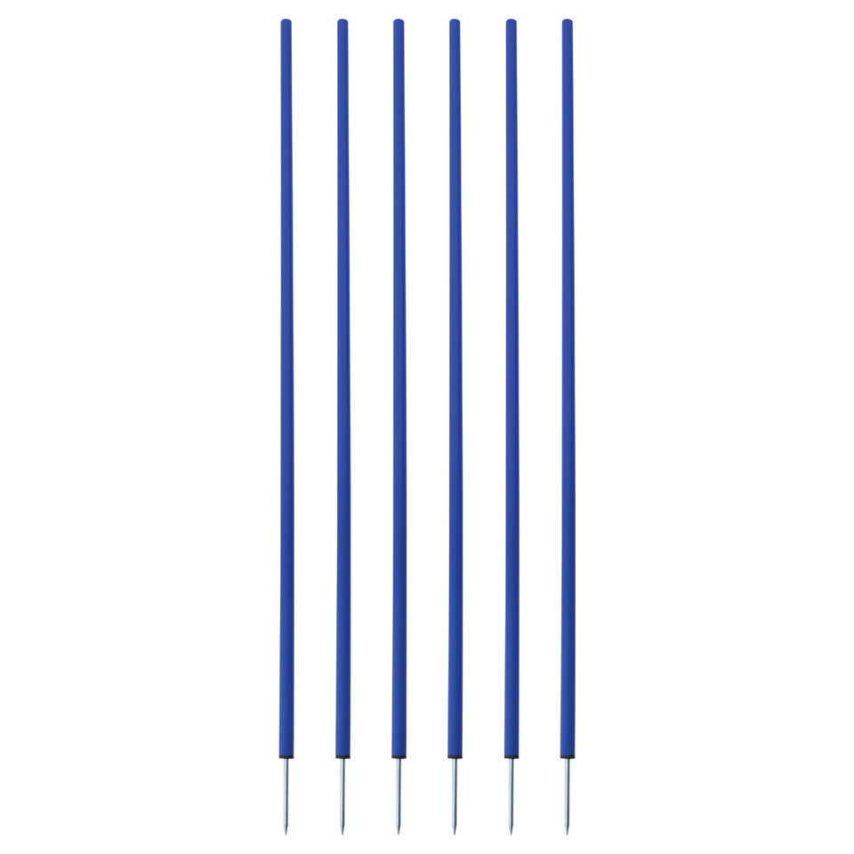 Coaching Sticks Set of 6