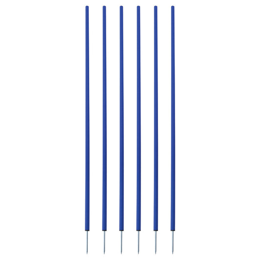 Coaching Sticks Set of 6