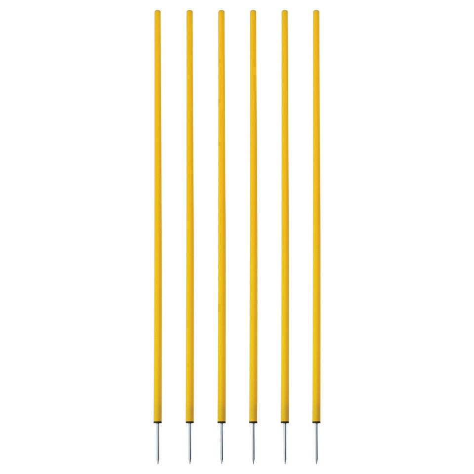 Coaching Sticks Set of 6