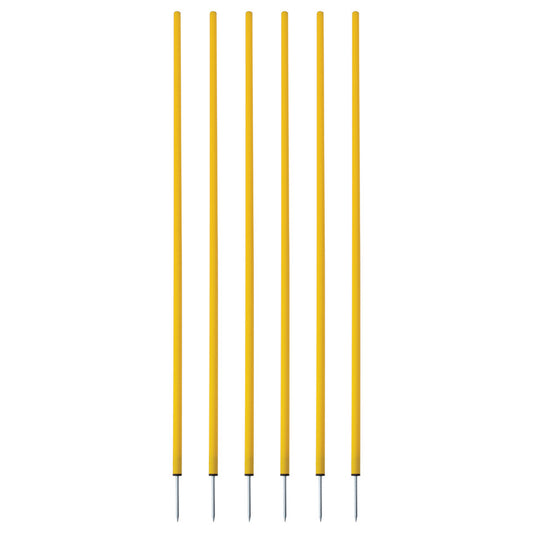 Coaching Sticks Set of 6