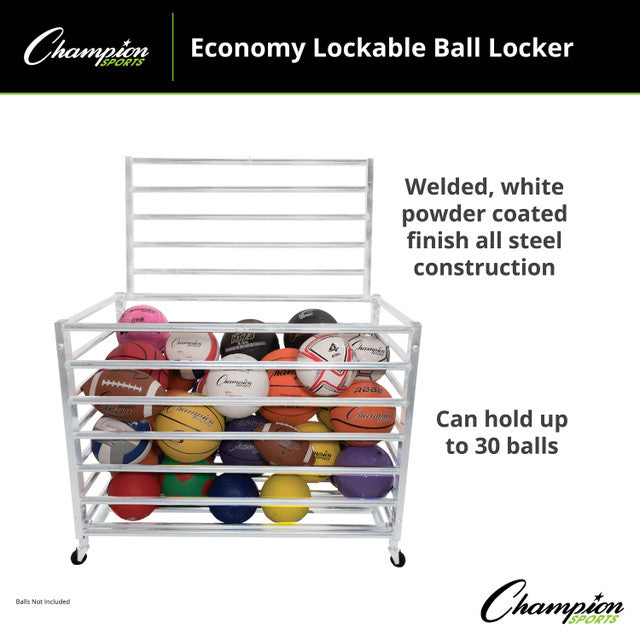 Economy Lockable Ball Locker