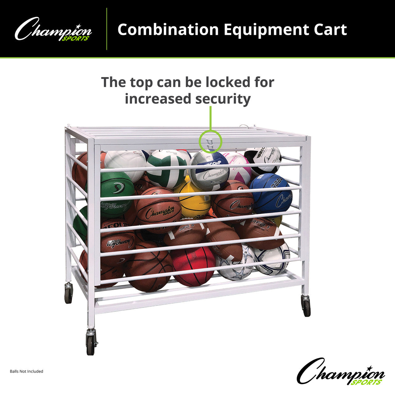 Economy Lockable Ball Locker