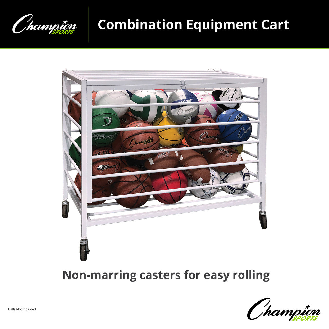 Economy Lockable Ball Locker