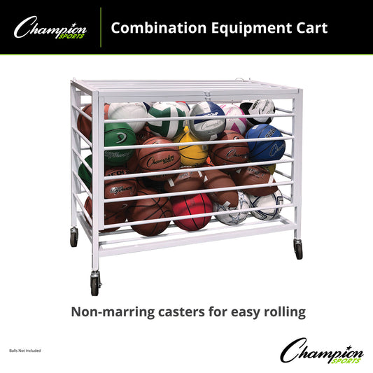 Economy Lockable Ball Locker