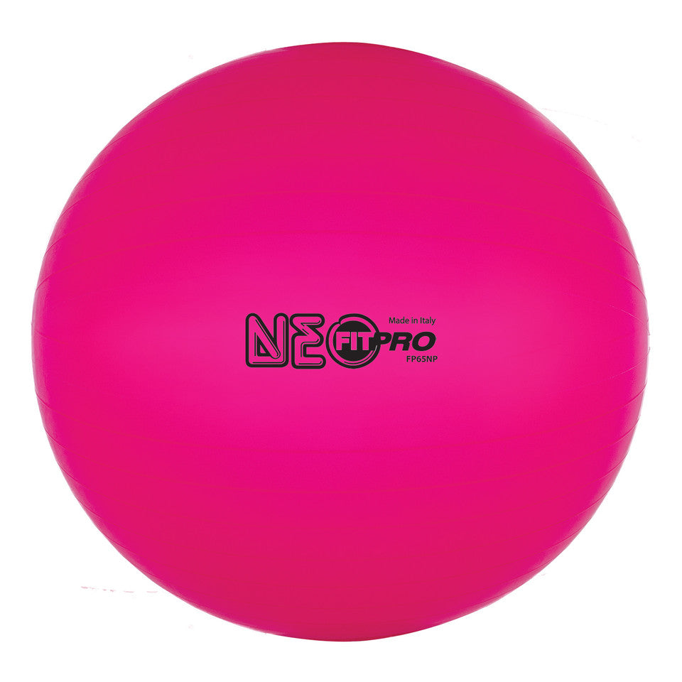 65 cm Fitpro Training & Exercise Ball
