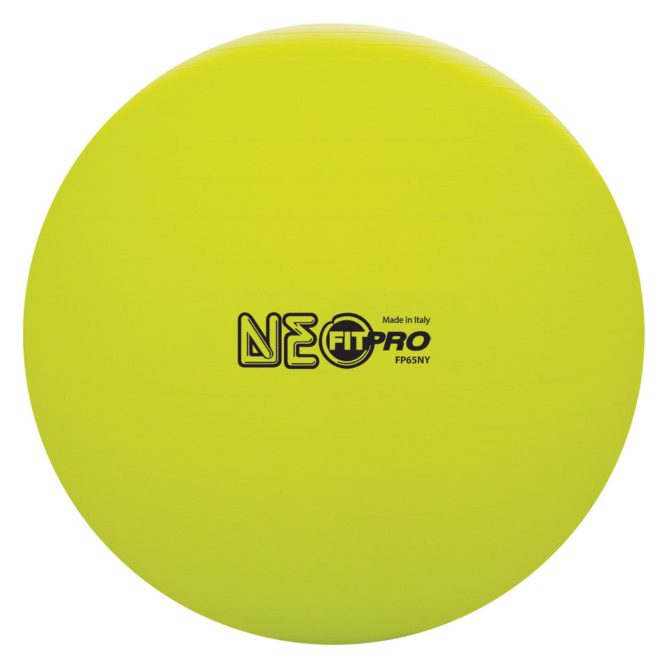 65 cm Fitpro Training & Exercise Ball