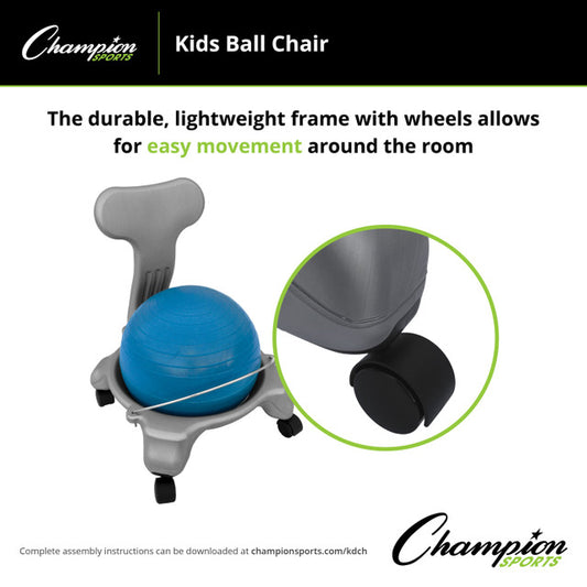 Fitpro Ball Chair