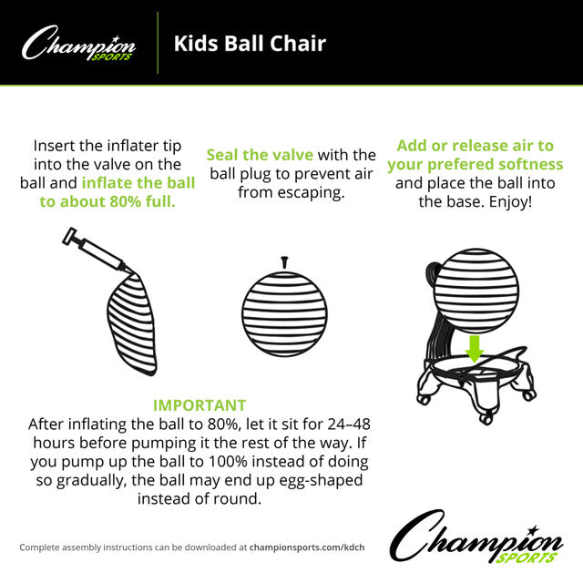 Fitpro Ball Chair