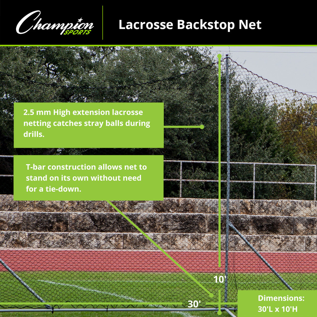 Lacrosse Backstop Net