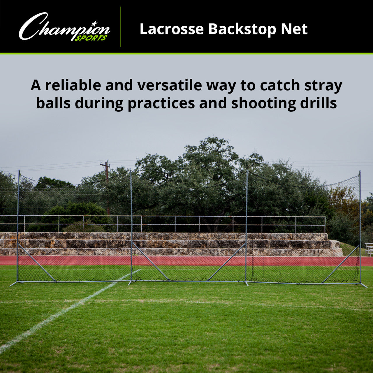 Lacrosse Backstop Net