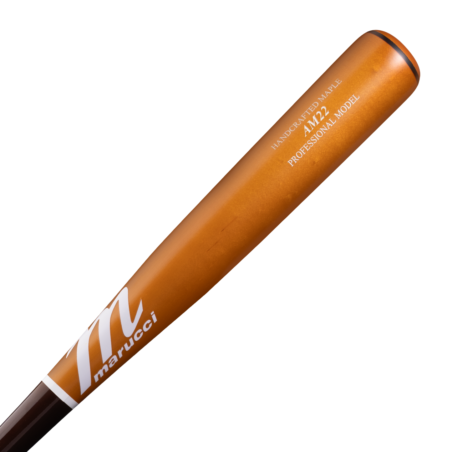 AM22 PRO MODEL