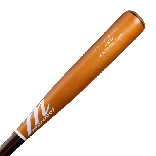 AM22 PRO MODEL