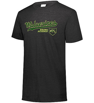 Bronx Science Baseball Team Store
