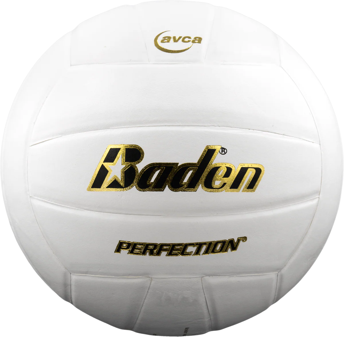 Perfection Leather Volleyball
