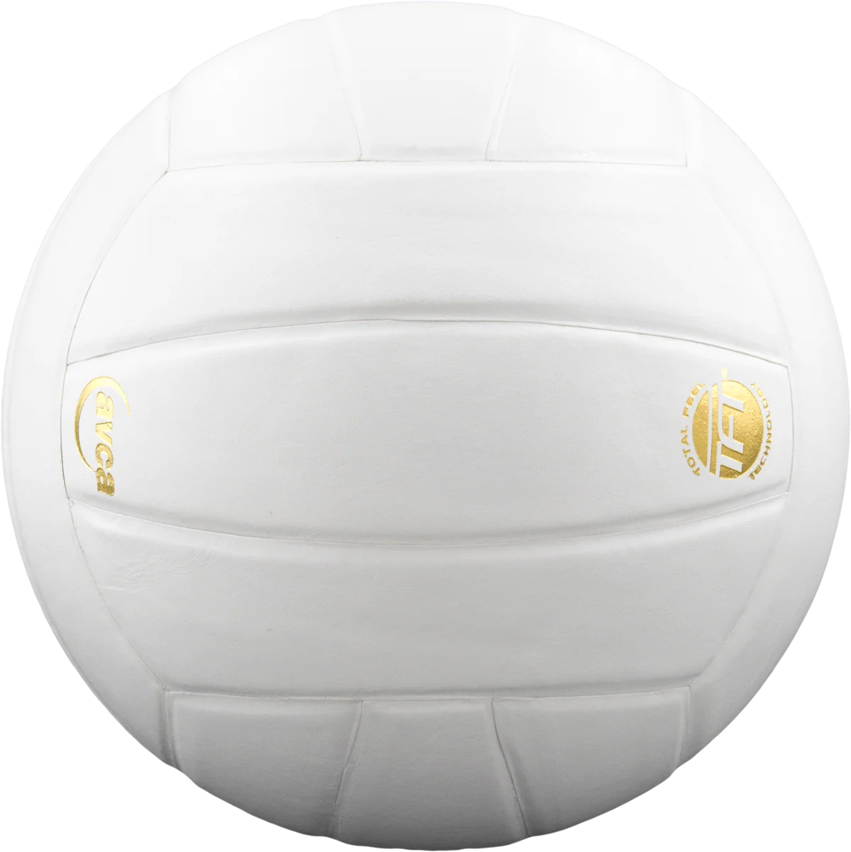 Perfection Leather Volleyball