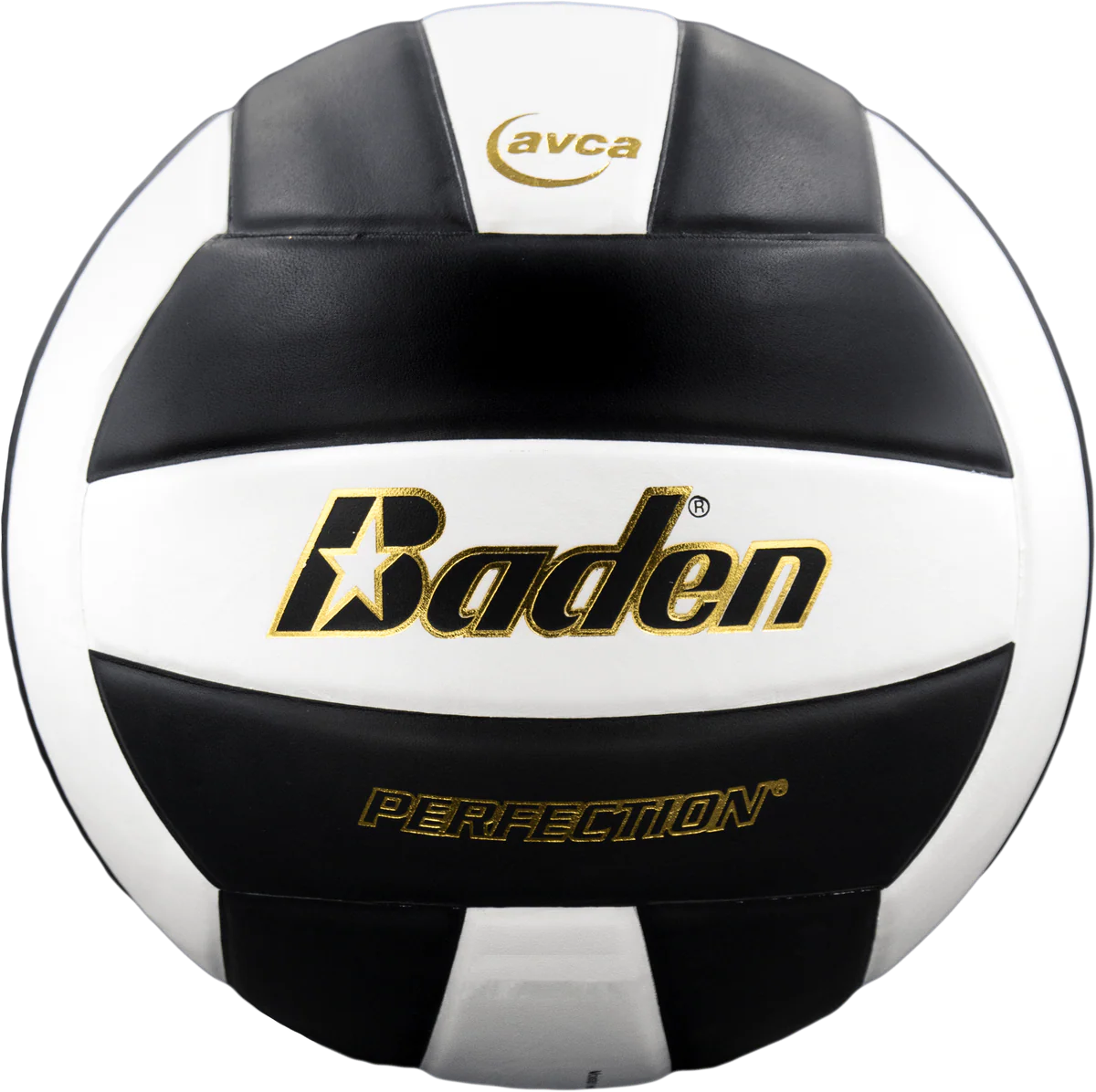 Perfection Leather Volleyball
