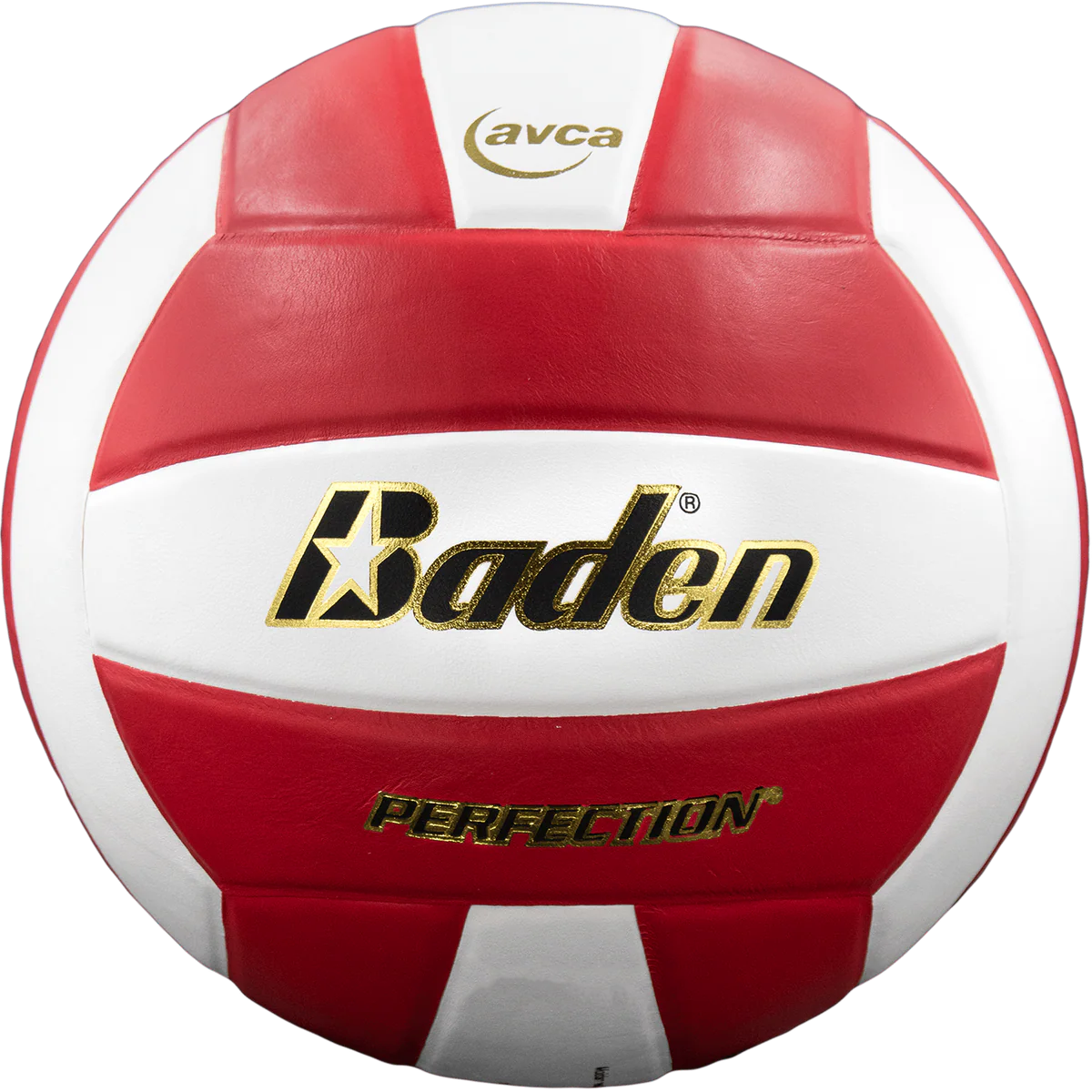 Perfection Leather Volleyball