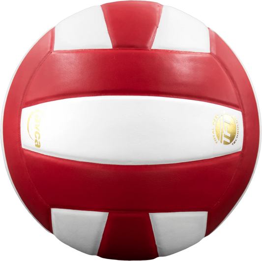 Perfection Leather Volleyball