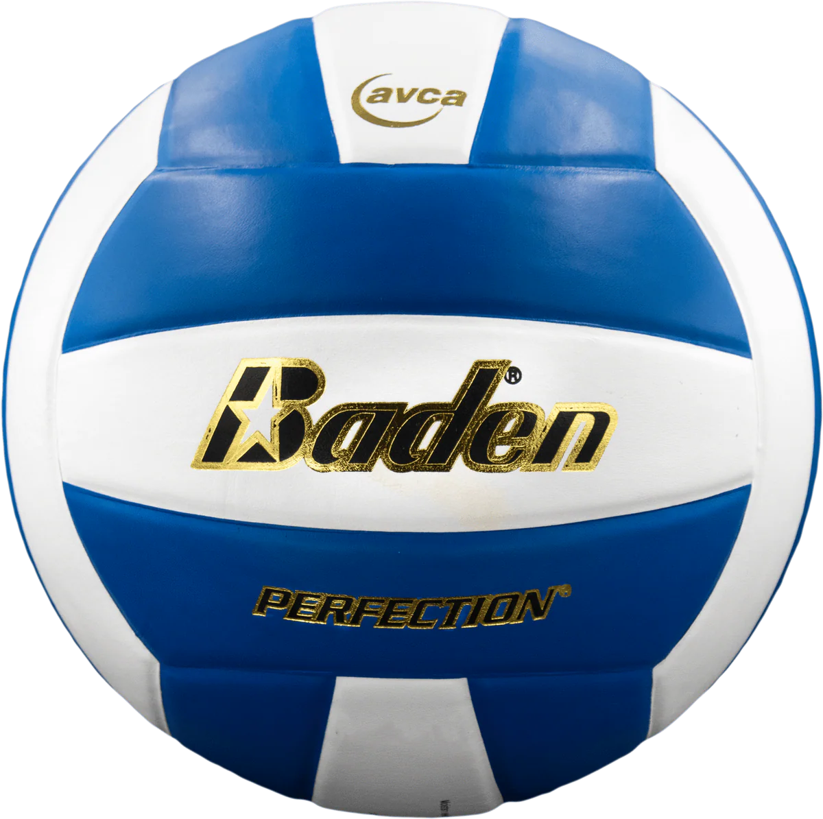 Perfection Leather Volleyball