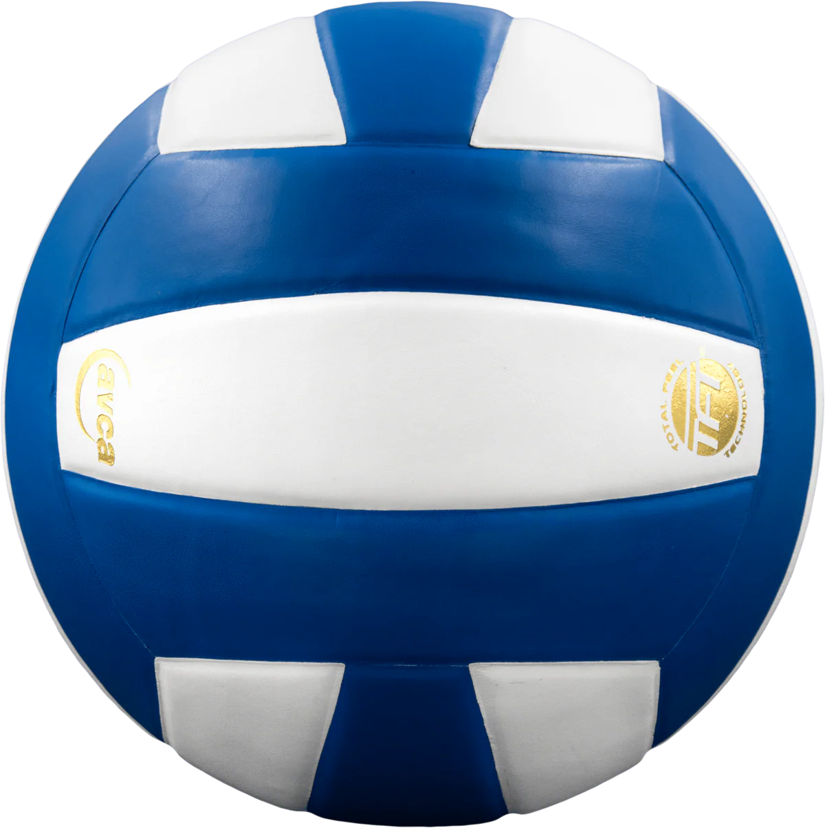 Perfection Leather Volleyball