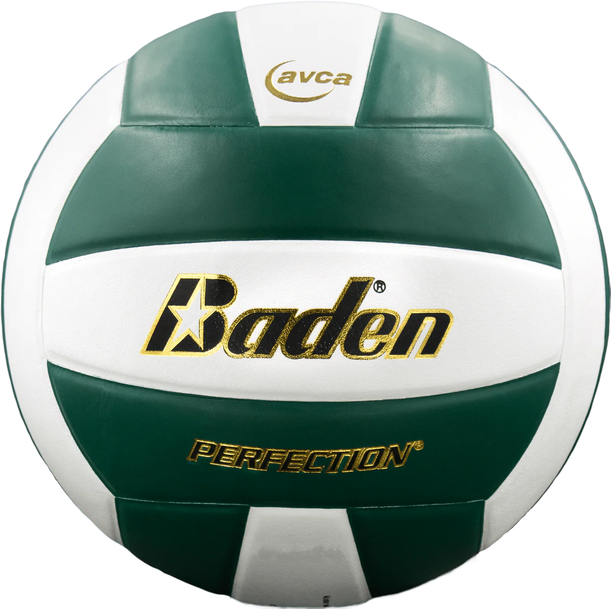 Perfection Leather Volleyball
