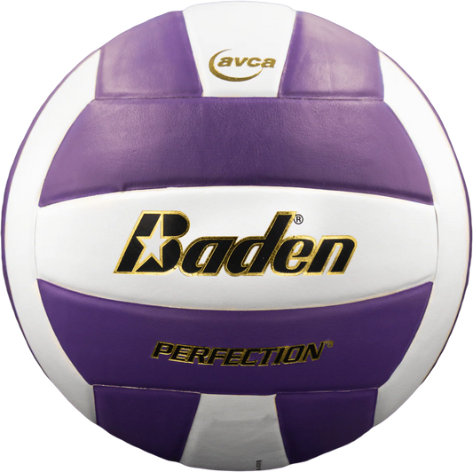 Perfection Leather Volleyball