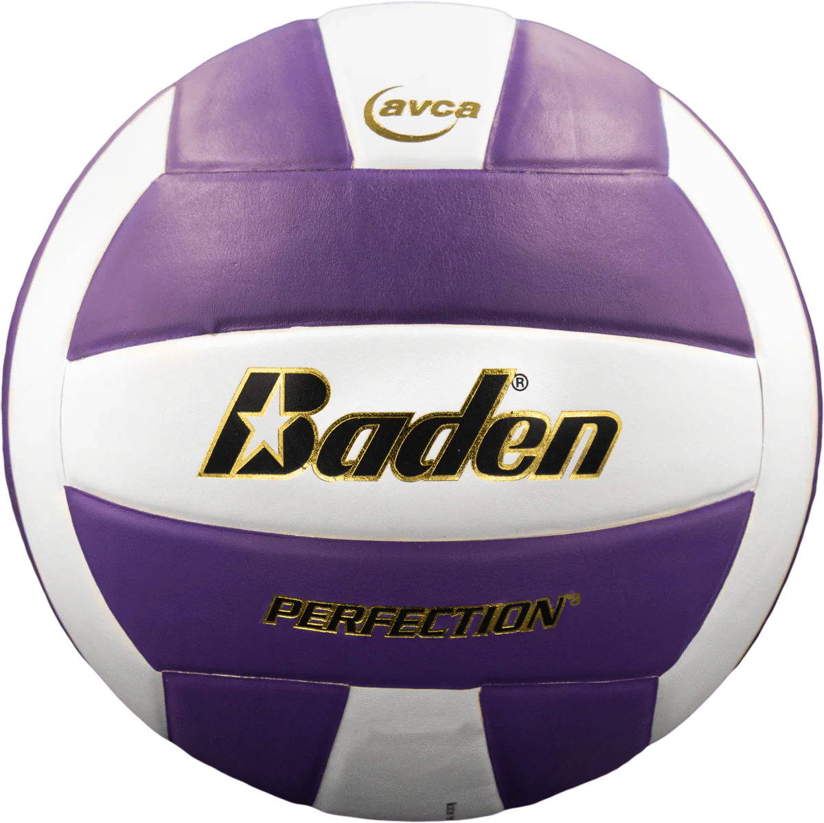 Perfection Leather Volleyball